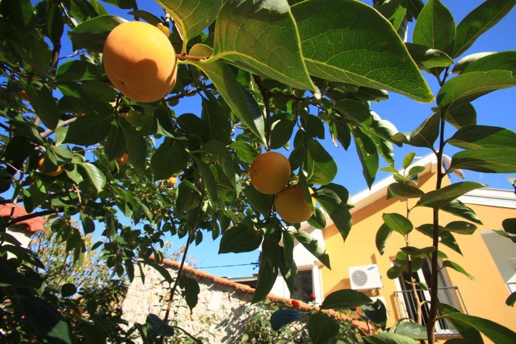 Hotel Pansion Rose Mostar Zewnętrze zdjęcie